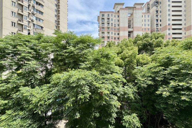 Brand-new one bedroom elevator apt 2mins to Wuding Rd