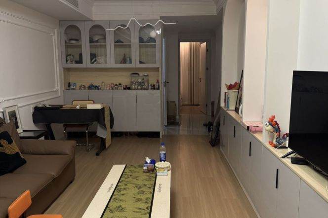 zhenping rd nice 1BR/big living room@L