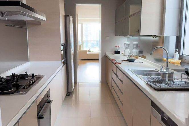 modern 3brs open balcony in top 3 compound Pu dong beside Huang pu river 48K