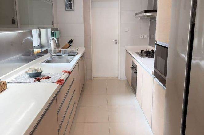 modern 3brs open balcony in top 3 compound Pu dong beside Huang pu river 48K