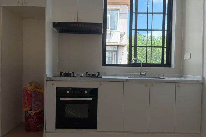 Brand new 1br/55sqm & balcony/oven@Jiangsu Rd & Line 2/11