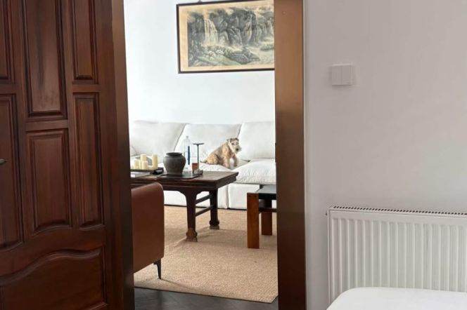 modern big  1 bedroom open balcony wall heating near IAPM line 1,10,12 only 15.5K