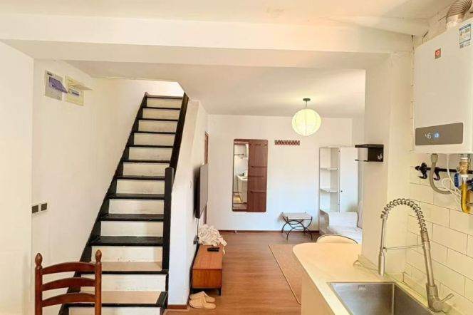 Jiashan rd Dapuqiao 1BR apartment
