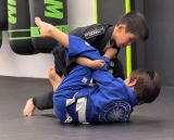 Mahmoudi Gym Kids Summer Camp 