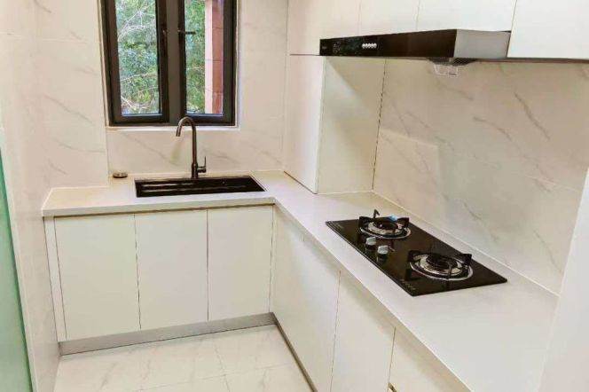 Elegant brand new 1br apt, close to Line 2