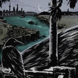 SoilGodliness, Wildshore Journal, Fog Umbrella