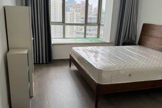 jiangning rd elevator 1BR/Big living room@L13