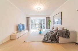 modern 3brs floor heating modern furniture near line 2 and Su zhou river 