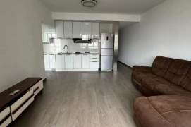 jiangning rd elevator 1BR/Big living room@L13