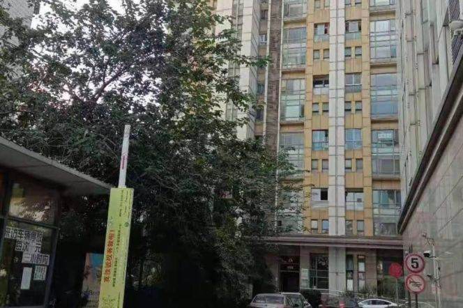 Duplex 2Bdrs & 2Btrs elevator Apt+Oven+balcony @ Line2/4 Zhongshan Park