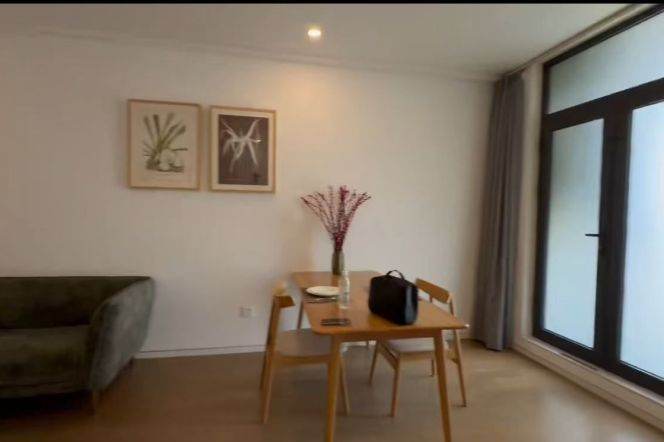 1BR in Pu'dong near 6 and convenient to NYU(Qian'tan) can long and short term lease