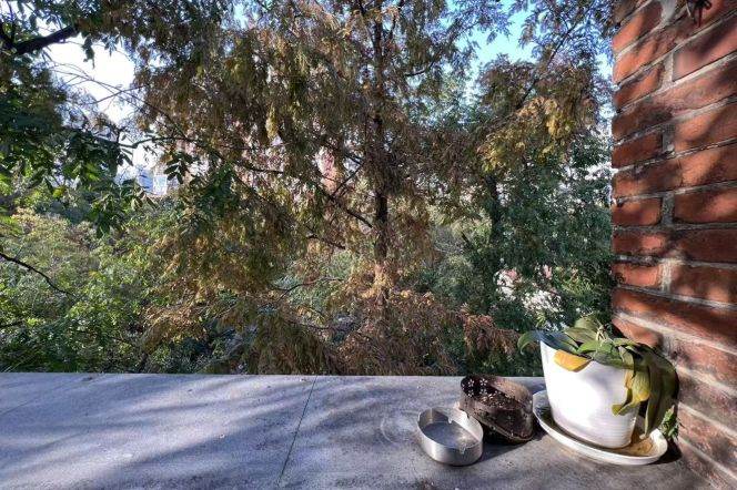 Changshu rd 2BR apartment with terrace