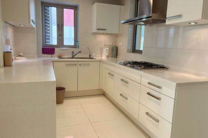 Modern 3brs with floor heating and balcony nearby west nan jing road CBD