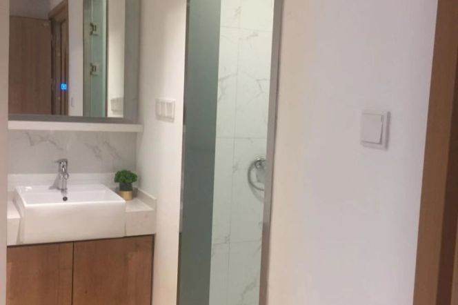 1BR near line 3/18 and convenient to Tong'ji University can long and short term lease