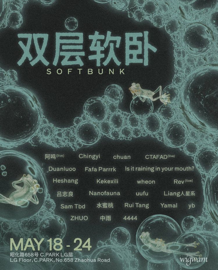 Softbunk Closing Night w/Sam Tbd, CTAFAD, more (Live Ambient Music)