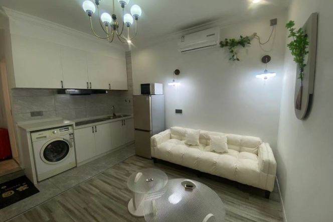   Spacious-Fashion-lift-1Br-Nr Spring Mall-Shanxi North rd/Putuo area/L7/13