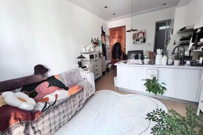 Jing'an temple 1BR apartment with balcony
