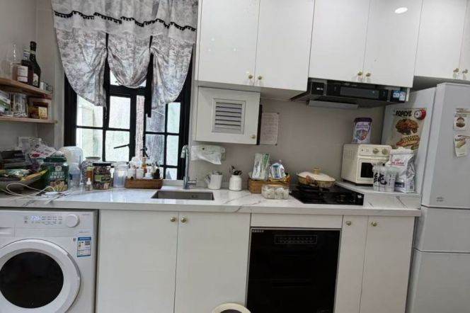 Zhongshan park 1BR apartment