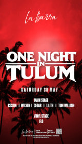 One Night in Tulum