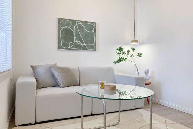 Zhongshan park 1BR apartment