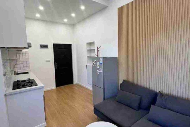 Modern&Spacious&Bright 1Bdr 1Baths Apt+Jing An Temple+3F Walk Up+West Nan Jing Rd