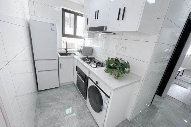 Modern 1Br/1Lr/1Bt apt nr Zhongshan park,M2/3/4