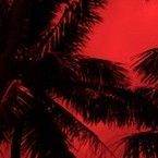 One Night in Tulum