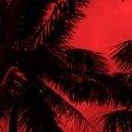 One Night in Tulum