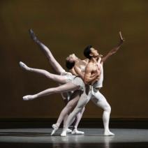 Stars of New York Ballet Gala