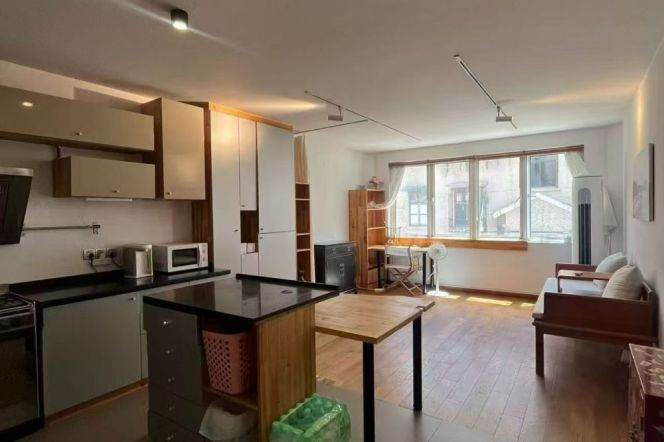 west nanjing road CBD- prime location- 1+1 br - comfortable living 