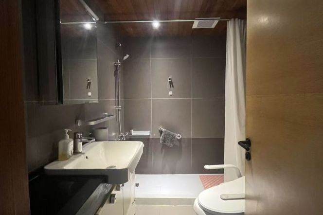 West Nanjing rd 1+1BR  apartment