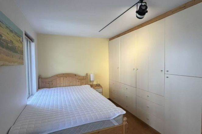 West Nanjing rd 1+1BR  apartment