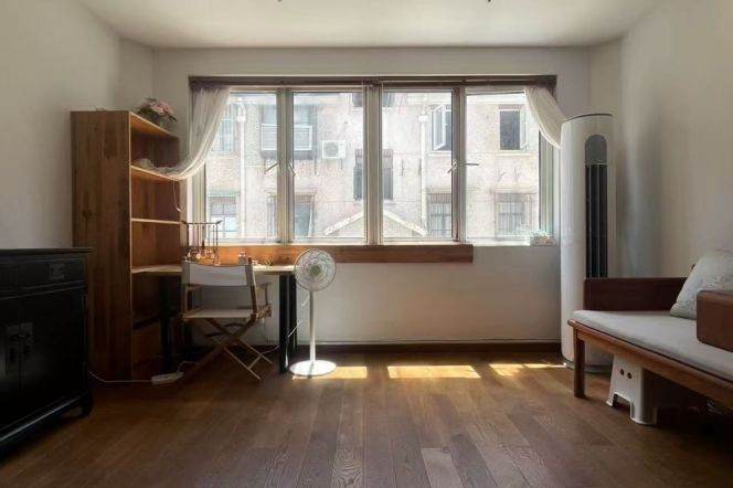 West Nanjing rd 1+1BR  apartment
