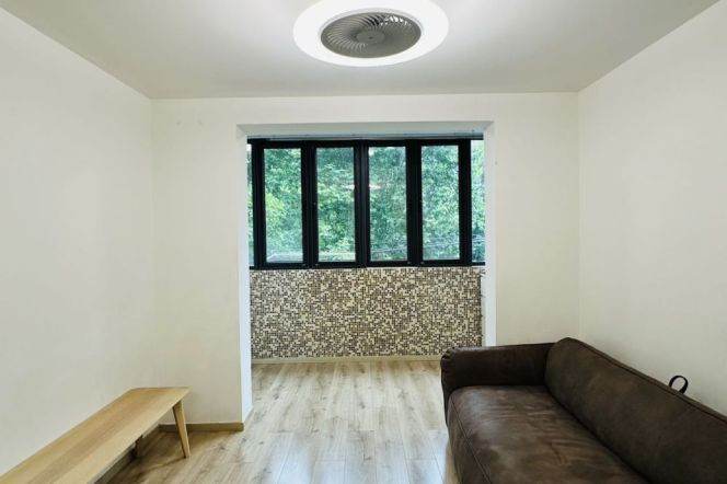 Yongjia Lu High quality 1+1BR near iapm 