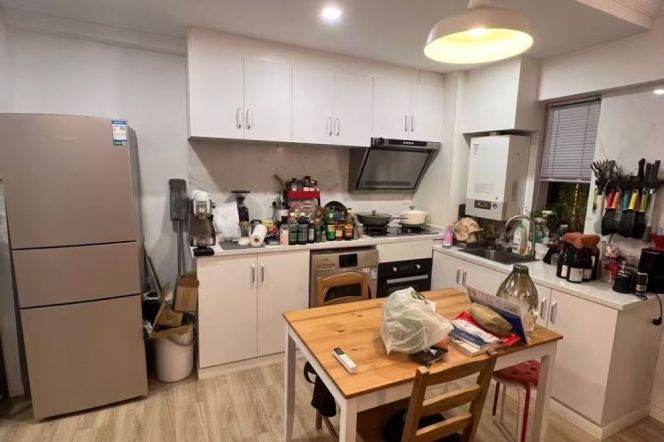 Bright spacious Apt with oven &heating & elevator @ West Nanjing Rd.
