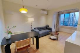 Stylish 1 br next NYU shanghai , easy walking to L 6/8/11 Oriental sports center st.