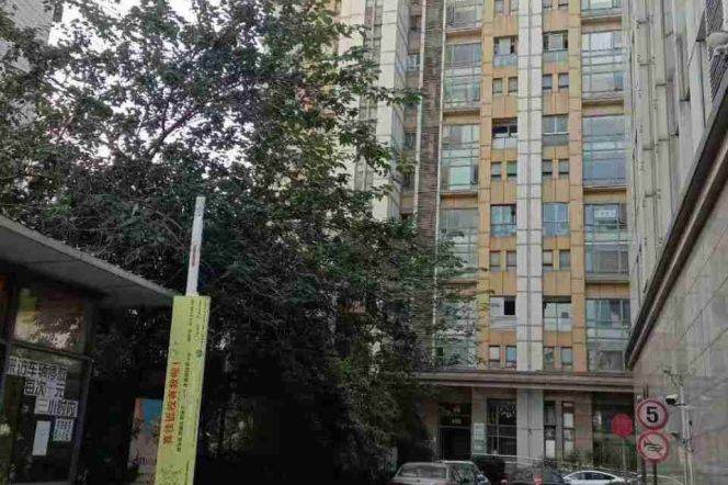 Bright&Duplex&Modern Elevator 2Bdrs 2Baths Apt+L2/3/4 Zhong Shan Park+Cloakroom
