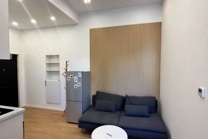 Modern 1Br/1Lr/1Bt apt nr South shanxi rd,M1/2/10/12/13