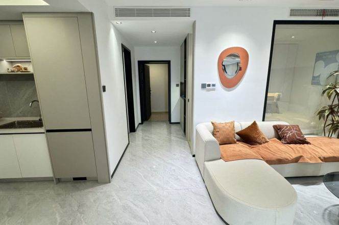 West Nanjing rd 2BR apartment
