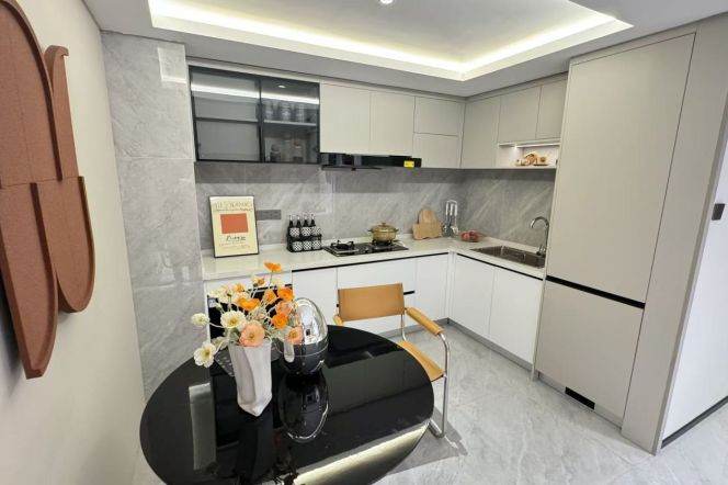 West Nanjing rd 2BR apartment