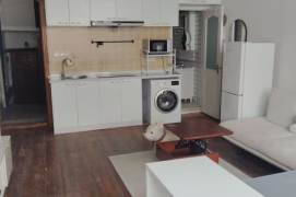 1 br near L2/L7 jing'an temple station