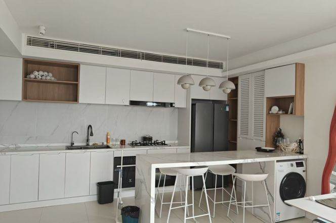 2BR/Good view/Xujiahui/Line9,11,1/120sqm