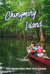 [1 Day Trip: Chongming Island] Xisha Wetland Hiking and Water Forest Canoeing