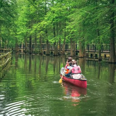 [1 Day Trip: Chongming Island] Xisha Wetland Hiking and Water Forest Canoeing