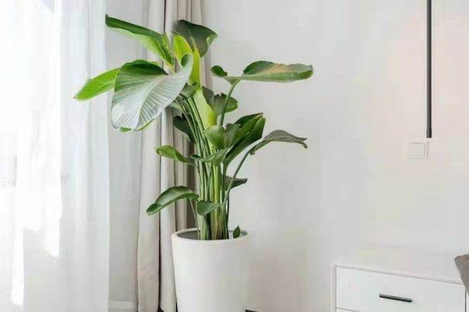Modern 3BR 2BA Elevator Apt on Mid Wulumuqi Rd, only 16.8k