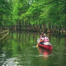 [1 Day Trip: Chongming Island] Xisha Wetland Hiking and Water Forest Canoeing