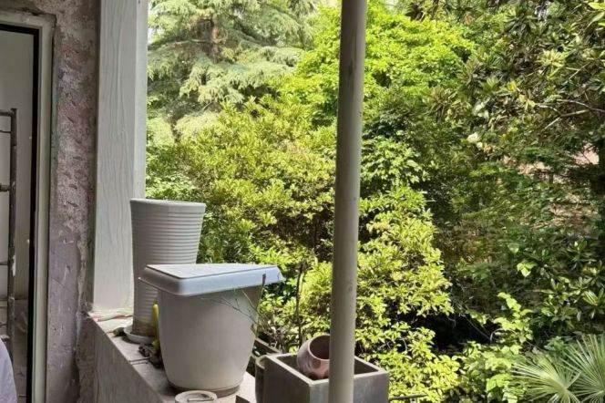 Open the window and you'll see greenery. It's an apartment with wall heating and a balcony.