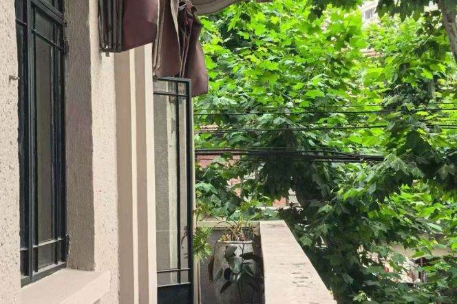 Little Blackstone Apartment, a rare apartment with an elevator and a super-long viewing balcony