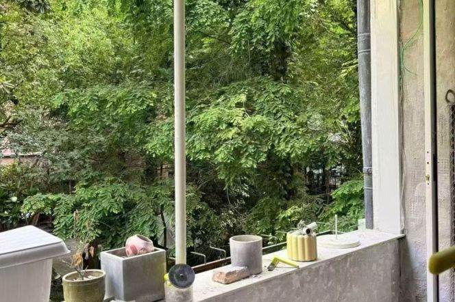 Open the window and you'll see greenery. It's an apartment with wall heating and a balcony.