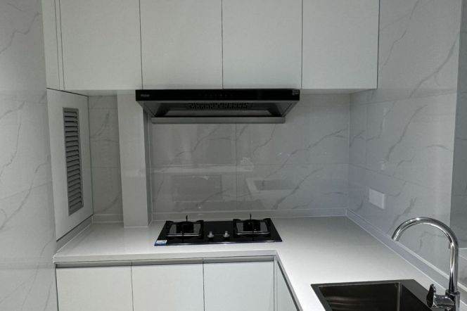 xujiahui elevator 2BR/big living room@L1/4